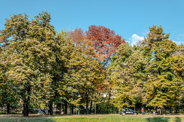 Naklejka premium Autumn on Vilson's Promenade