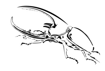 ヘラクレスオオカブト、線画