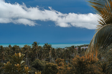 Fototapeta na wymiar The view from the balcony to the rooftops, forest and palm leaves. In the background turquoise sea and blue cloudy sky