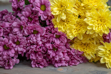 Yellow and mauve chrysanthemums on a wooden background.