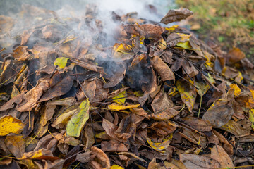 A large pile of burning leaves and smoke. Smoke coming out of a leaf pile
