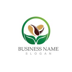 coffee bean icon vector