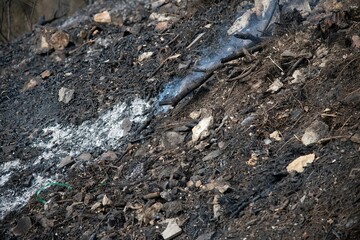 devastation at a pine forest in the Lebanon mountain region Beit Meri after a massive wildfire