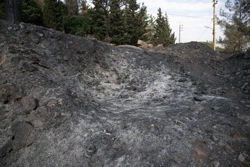 devastation at a pine forest in the Lebanon mountain region Beit Meri after a massive wildfire