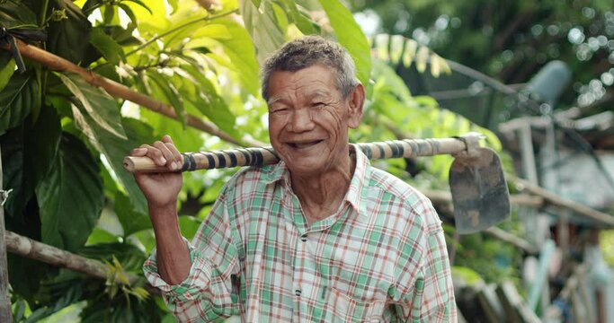 An Asian man who is more than seventy years old and works as a wage earner in a farm, carry a hoe on his shoulder, smiling and laughing happily.