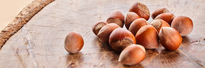 Heap of hazelnuts in shell isolated on wooden background