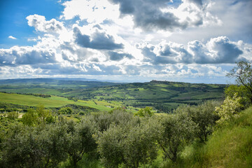 Fototapeta na wymiar Tuscany, Italy, May 2018, a view of a green valley from a height, in the foreground an olive garden