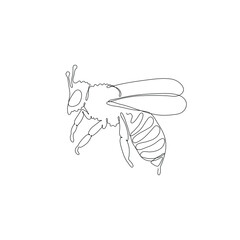 Honey bee. One single line drawing isolated on white background. Beautiful hand-drawn design vector illustration for posters, wall art, tote bag, mobile case, t-shirt print. Icon. Logo. Insect, beetle