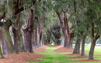St Simon Island Georgia
