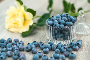 blueberries, still life