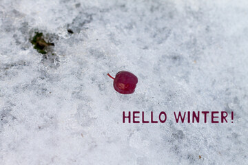  Winter landscape background with typography text "Hello Winter"