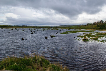 Artificial lake on the River Lee