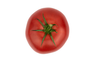 The Fresh Red Juicy Tomato