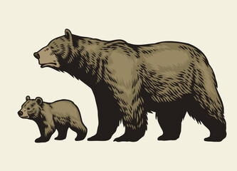 Fototapeta na wymiar Hand Drawn Grizzly Bear and Her Cub