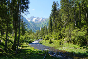a beautiful alpine landscape with a creek, lush green forest and the Alps of the Schladming-Dachstein region in Austria on a sunny spring day