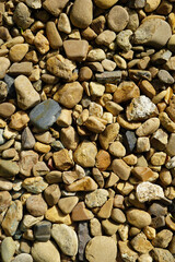 stone wall texture with hard sunlight