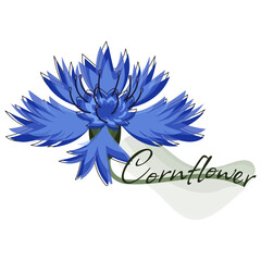 cornflower flower blue green logo sign text