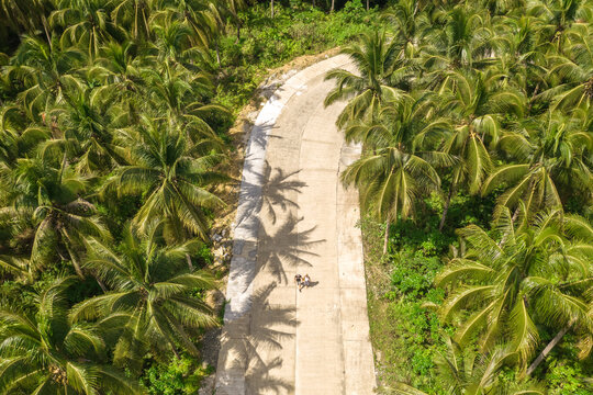 Palm Trees With Empty Straight Road Aerial View From Drone Point Of View.