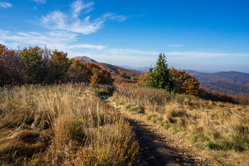 Fototapeta na wymiar Autumn in the Bieszczady Mountains. Polonina Wetlinska trail.