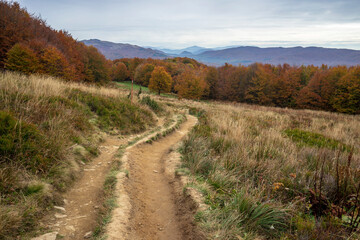 Fototapeta na wymiar Autumn in the Bieszczady Mountains. Hiking trail to Polonina Carynska.