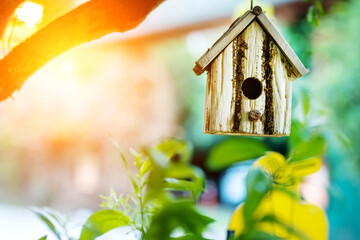 Cute vintage bird houses on a branch in the garden.
