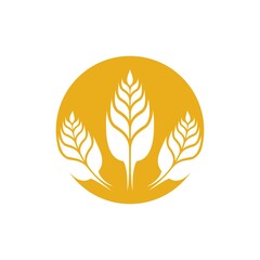 Fototapeta na wymiar Wheat logo images