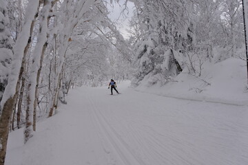 北海道の旭岳の風景