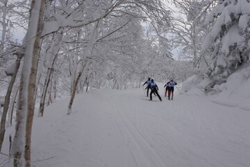 北海道の旭岳の風景