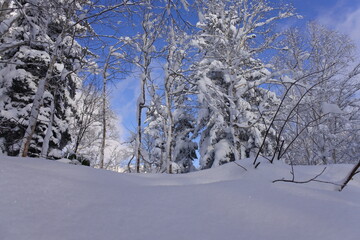 北海道の旭岳の風景
