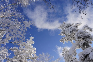北海道の旭岳の風景