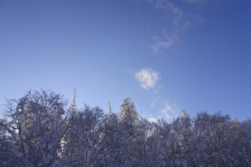 北海道の旭岳の風景
