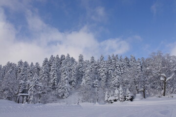 北海道の旭岳の風景