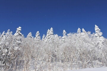 北海道の旭岳の風景