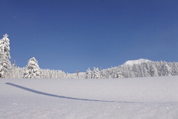 北海道の旭岳の風景