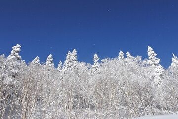 北海道の旭岳の風景