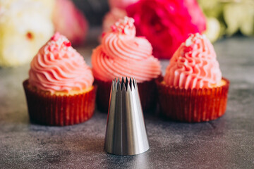 Delicious cupcakes. Cupcakes and confectionery attachments for cream. Cupcakes on a concrete table 