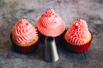 Delicious cupcakes. Cupcakes and confectionery attachments for cream. Cupcakes on a concrete table 