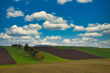 Stoppelfelder und B&auml;ume im Herbst bew&ouml;lkter Himmel
