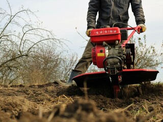 a farmer plows the land with a red motor plow in the off-season, a man loosens the soil with a...