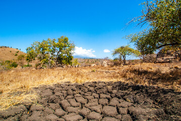 Landscape of Komodo National Park, Rinca, Lesser Sunda Islands, Indonesia, Asia