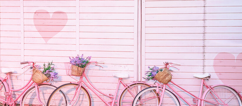 Painted pink bicycles with baskets with flowers stands on the pebble on the background of the textured colorful wall. Vintage bikes with lavender in the basket. Romantic pink, festive background.