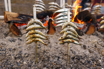 Skewer with sardines grilled on fire. Typical Rural Spanish Barbecue.