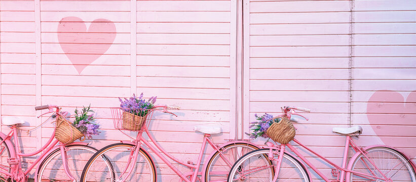 Painted pink bicycles with baskets with flowers stands on the pebble on the background of the textured colorful wall. Vintage bikes with lavender in the basket. Romantic pink, festive background.