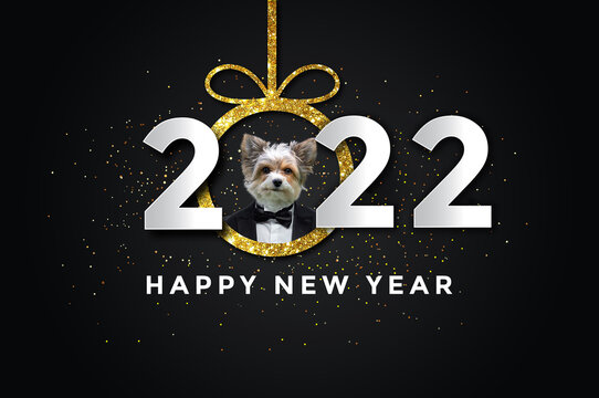 Happy new year 2022 with a Dog, biewer yorkshire