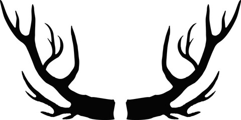 Deer's  antlers design elements of deer. 