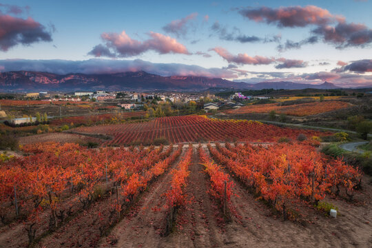 countryside view of famous winery in la rioja, Spain