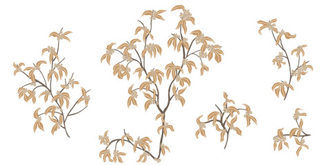 branch with leaves.Vector hand drawing set branches with leaves and stripes