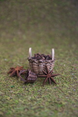 Autumnal - winter composition with  tiny basket, star anise, conifer cones, wild berries, on green...