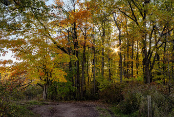 Kerncliff Park in autumn,  Burlington,  Ontario,  Canada