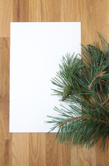 Christmas background,  white paper with conifer cone branches